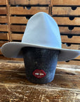 Sample: Light grey fedora (S/M)